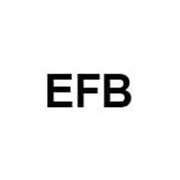 Akumulator EFB